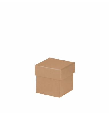 Geschenkkarton Boxline kraft