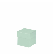Geschenkkarton Boxline mint
