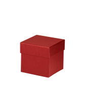 Geschenkkarton Boxline rot