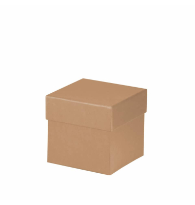 Geschenkkarton Boxline kraft