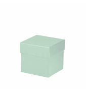 Geschenkkarton Boxline mint