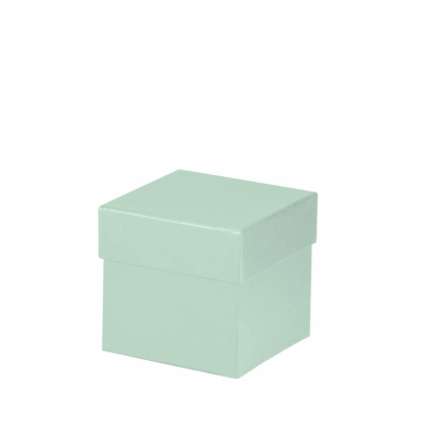 Geschenkkarton Boxline mint
