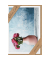 Danke Karte Nature Card