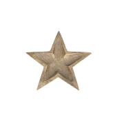 Weihnachtlicher  Teller Stern 20x19xH2cm