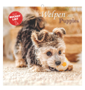 Bildkalender 103531, Hundewelpen, 1 Monat / 2 Seiten, 30x60cm