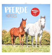 Bildkalender 103536, Pferde, 1 Monat / 2 Seiten, 30x60cm, 2027