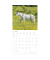 Bildkalender 103536, Pferde, 1 Monat / 2 Seiten, 30x60cm, 2027