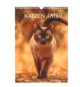 Bildkalender 103476, Katzen, 1 Monat / 1 Seite, 23,7x34cm (23,7x34cm), 2027