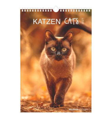 Bildkalender 103476, Katzen, 1 Monat / 1 Seite, 23,7x34cm, 2027