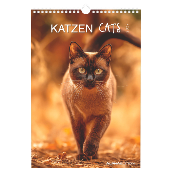 ALPHA EDITION Bildkalender 103476, Katzen, 1 Monat / 1 Seite, 23,7x34cm (23,7x34cm), 2027 4069095004931 ALPHA EDITION