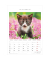 Bildkalender 103476, Katzen, 1 Monat / 1 Seite, 23,7x34cm