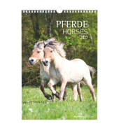 Bildkalender 103477, Pferde, 1 Monat / 1 Seite, 23,7x34cm, 2027