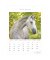 Bildkalender 103477, Pferde, 1 Monat / 1 Seite, 23,7x34cm