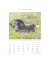 Bildkalender 103477, Pferde, 1 Monat / 1 Seite, 23,7x34cm