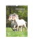Bildkalender 103477, Pferde, 1 Monat / 1 Seite, 23,7x34cm