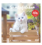 Wandkalender 160299, 