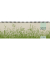 Schreibtischquerkalender 159-0640, Gras, 1 Woche / 2 Seiten, 32x10,5cm (quer), 2027