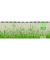 Schreibtischquerkalender 159-0640, Gras, 1 Woche / 2 Seiten, 32x10,5cm (BxH) (quer), 2027