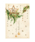 Weihnachtskarte 22-1054 Bild