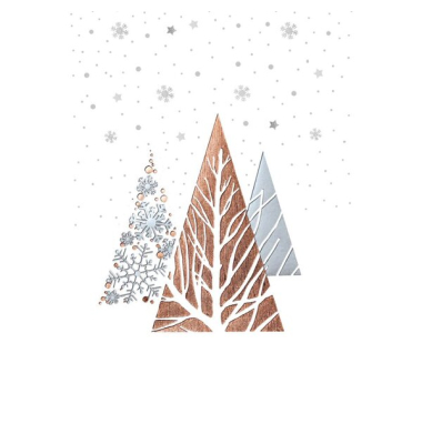 Weihnachtskarte ohne Text 22-1800 Bild