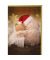 5800-26021 Bild