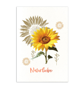 Eco Softcover Notizbuch Heupapier