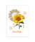 Eco Softcover Notizbuch Heupapier