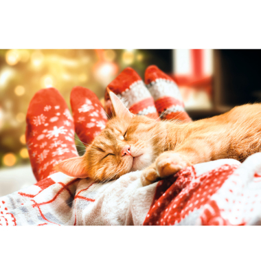 Weihnachtskarte ohne Text