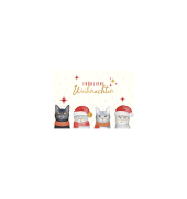 D.T. Weihnachtspostkarte Katzen