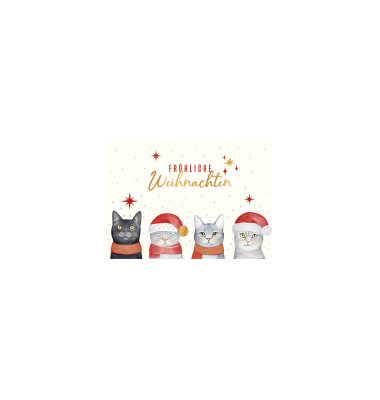 D.T. Weihnachtspostkarte Katzen