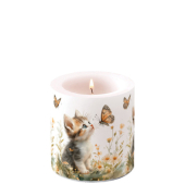 Kerze 19221680 Kitten and Butterfly bunt 