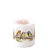 Kerze 9cm Vogelfreunde