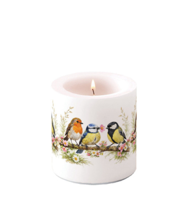Kerze 19221785 Bird Friends bunt 