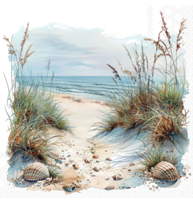 Motivserviette 33x33cm D&uuml;nenweg