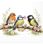 Motivservietten 13321785 / Bird Friends, 3-lagig