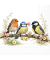 Motivservietten 13321785, mehrfarbig / Bird Friends, 3-lagig