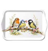 Tablett 13x21 cm Vogelfreunde