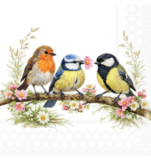 Motivserviette 25x25cm Vogelfreunde