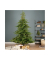 Weihnachtsbaum Everlands Grandis Tanne, 670121, 210x150cm (Hx&Oslash;), gr&uuml;n
