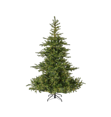 Weihnachtsbaum Everlands Grandis Tanne, 670121, 210x150cm (Hx&Oslash;), gr&uuml;n
