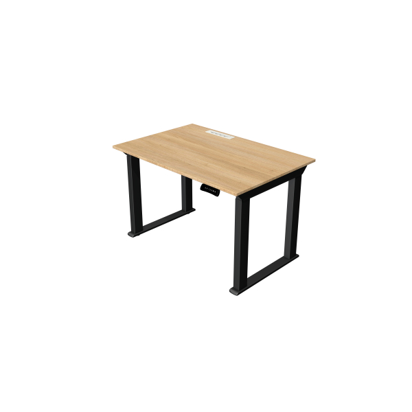 Kerkmann Sitz-Steh-Schreibtisch Move heavy duty, elektrisch höhenverstellbar, 75-125cm (H), 120x80cm (BxT), rechteckig, eiche hell / anth