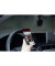 DrivePro 230 Data   DE Privacy inkl. 32GB microSDHC TLC