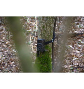 Braun Scouting Cam Black300