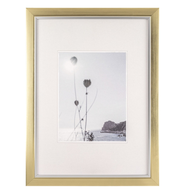 Beyond DIN A3    29,7x42 Kunststoff champag.gold  JI342C