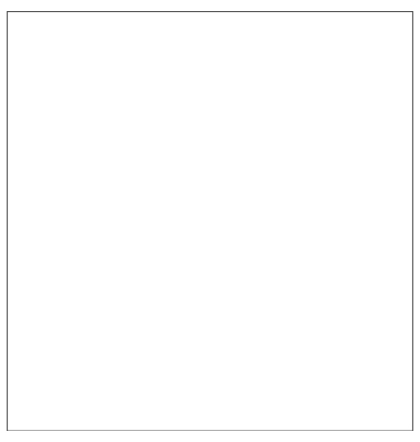 Madrid schwarz        30x45 Kunststoff                 66776