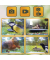 Bird Cam