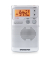 DT-250 (Pocket 250) Silver