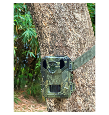 WCS-5023 Wildkamera