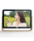 RWF-108V WiFi blau