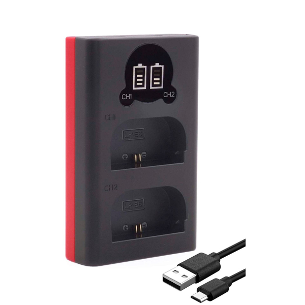 Baxxtar Pro Ladegerät LCD Dual für LP-E6 4055655206518 Baxxtar